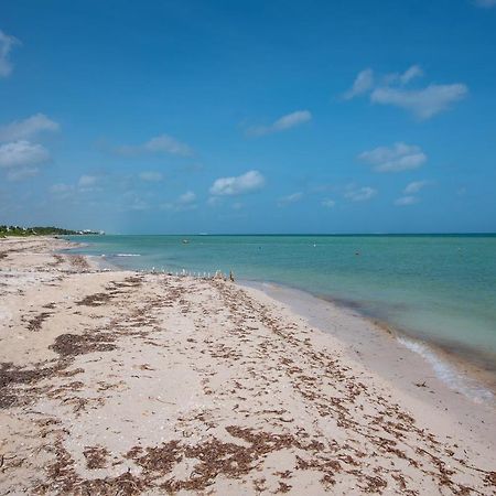97982 New Modern Villa, Private Pool, High Internet Speed, 2 Blocks From The Beach Pueblo Pueblo Chicxulub 外观 照片