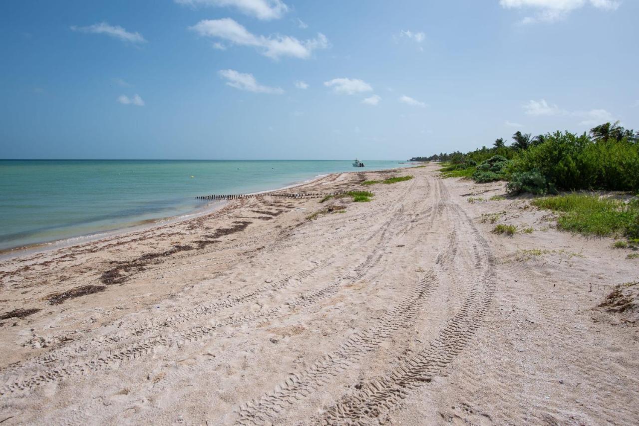 97982 New Modern Villa, Private Pool, High Internet Speed, 2 Blocks From The Beach Pueblo Pueblo Chicxulub 外观 照片