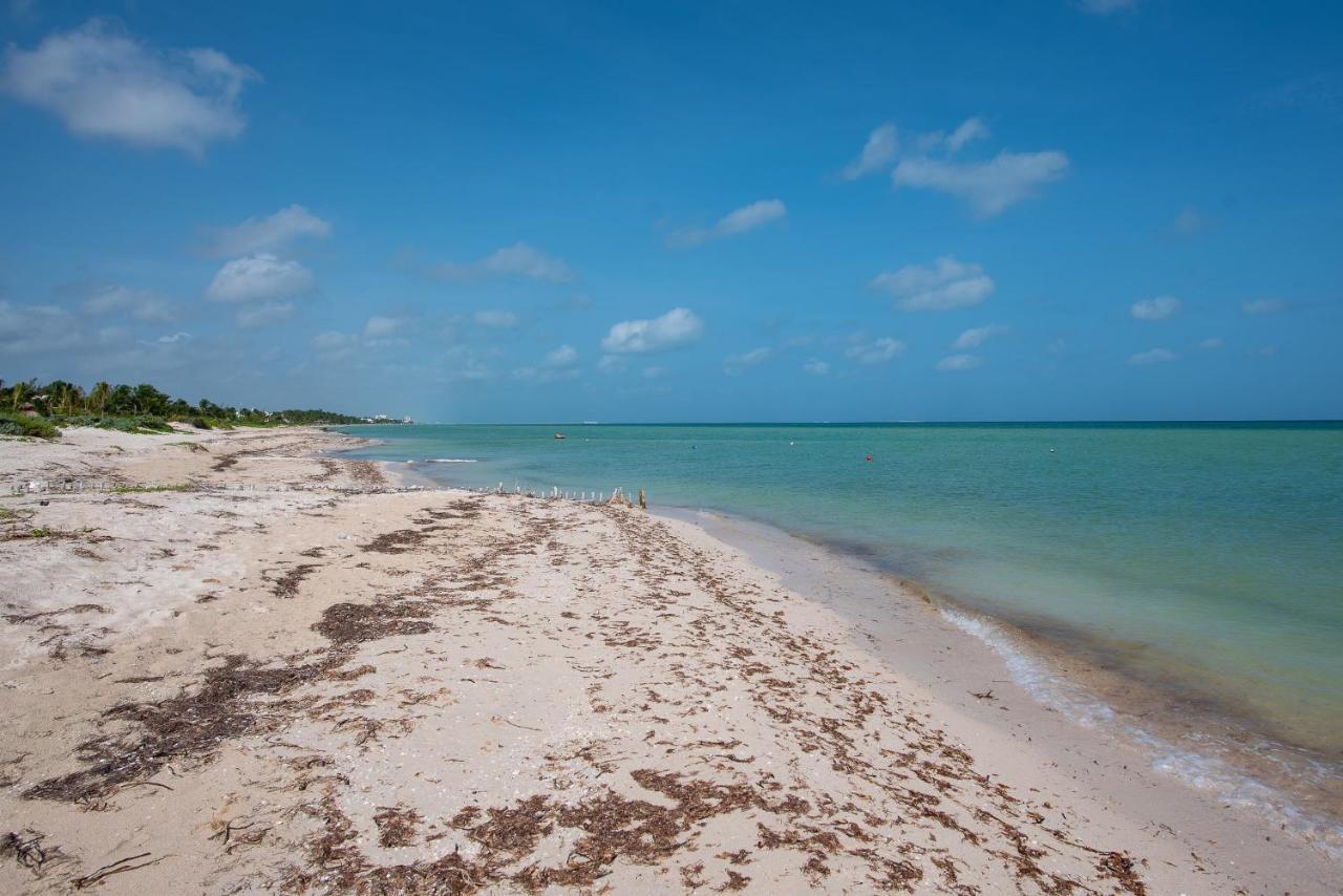 97982 New Modern Villa, Private Pool, High Internet Speed, 2 Blocks From The Beach Pueblo Pueblo Chicxulub 外观 照片